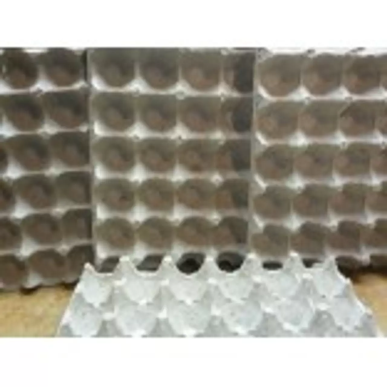 Egg Cartons
